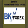 Forex fundamentals course - Bkforex