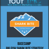 Basecamp - Big Fish Shark Bite Strategy-imc
