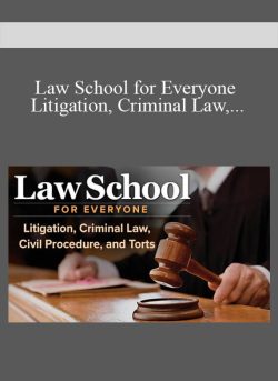 Law School for Everyone Litigation, Criminal Law, Civil Procedure, and Torts