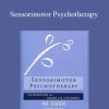 Pat Ogden, Janina Fisher – Sensorimotor Psychotherapy Interventions for Trauma and Attachment