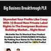 Big Business Breakthrough PLR