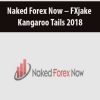 Naked Forex Now – FXjake – Kangaroo Tails 2018