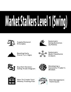 [Download Now] Market Stalkers Level 1 (Swing)