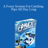 Forex Pip Fishing – A Forex System For Catching Pips All Day Long