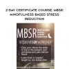 2-Day Certificate Course: MBSR: Mindfulness Based Stress Reduction - Elana Rosenbaum