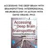 Accessing the Deep Brain with Brainspotting: Interpersonal Neurobiology in Action with David Grand, Ph.D. - David Grand