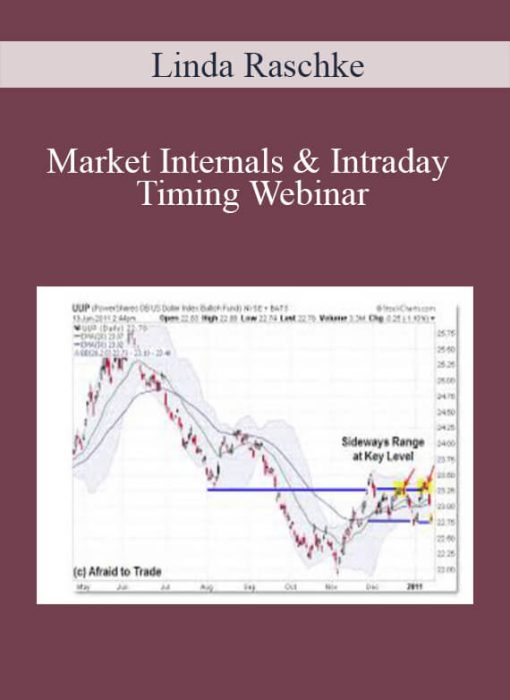 Linda Raschke – Market Internals & Intraday Timing Webinar
