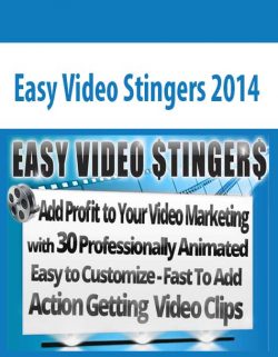 Easy Video Stingers 2014