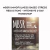 MBSR (Mindfulness Based Stress Reduction) – Intensive 2-Day Workshop – Diane Renz