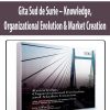 Gita Sud de Surie – Knowledge, Organizational Evolution & Market Creation
