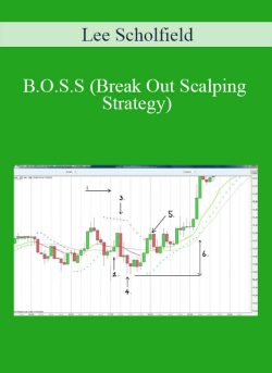 Lee Scholfield - B.O.S.S (Break Out Scalping Strategy)