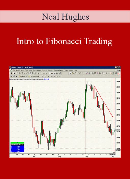 Neal Hughes - Intro to Fibonacci Trading