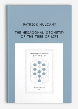 Patrick Mulcahy – The Hexagonal Geometry of the Tree of Life