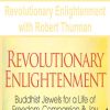 Revolutionary Enlightenment with Robert Thurman