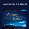 Stephen Wolinsky – WAKING FROM THE TRANCE