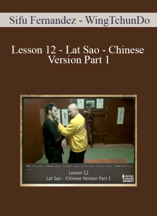 Sifu Fernandez - WingTchunDo - Lesson 12 - Lat Sao - Chinese Version Part 1