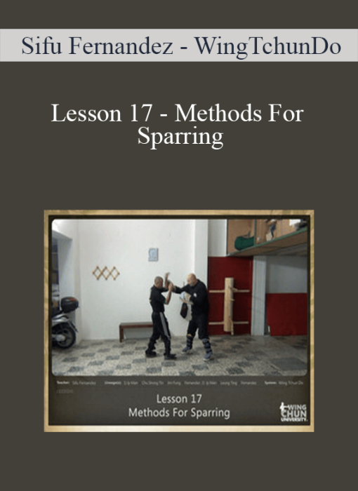 Sifu Fernandez - WingTchunDo - Lesson 17 - Methods For Sparring