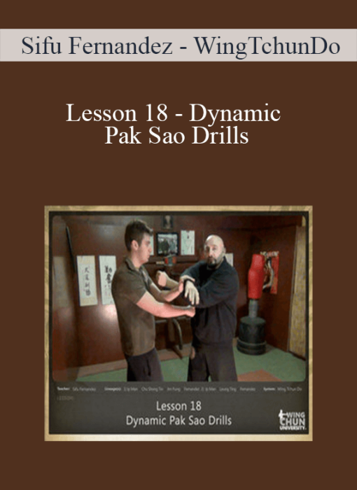 Sifu Fernandez - WingTchunDo - Lesson 18 - Dynamic Pak Sao Drills