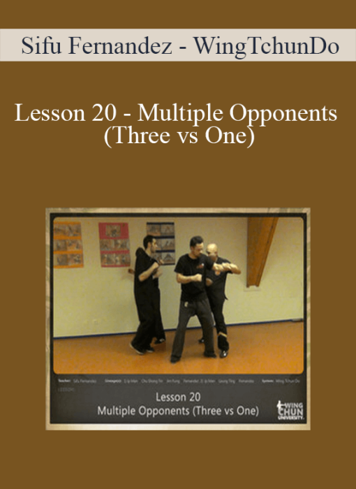 Sifu Fernandez - WingTchunDo - Lesson 20 - Multiple Opponents (Three vs One)