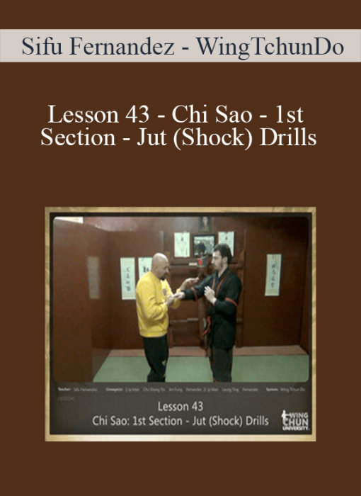 Sifu Fernandez - WingTchunDo - Lesson 43 - Chi Sao - 1st Section - Jut (Shock) Drills