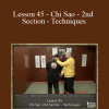 Sifu Fernandez - WingTchunDo - Lesson 45 - Chi Sao - 2nd Section - Techniques