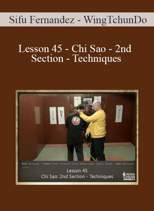 Sifu Fernandez - WingTchunDo - Lesson 45 - Chi Sao - 2nd Section - Techniques