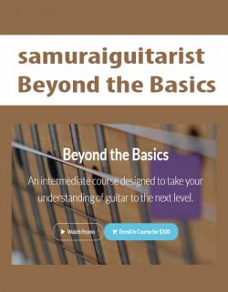 samuraiguitarist - Beyond the Basics