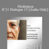 [Audio] IC11 Dialogue 15 - Meditation - Ricardo Reix