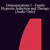[Audio] IC92 Workshop 13a - Demonstrations I - Family Hypnotic Induction and Therapy - Camillo Loriedo