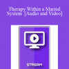 Italian Masters Series - Therapy Within a Marital System - Milton Erickson