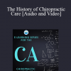 Fabrizio Mancini - The History of Chiropractic Care