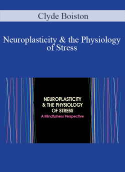 Clyde Boiston - Neuroplasticity & the Physiology of Stress: A Mindfulness Perspective