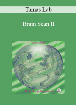 Tamas Lab - Brain Scan II